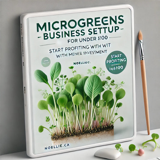 Microgreens Business Setup for Under $100